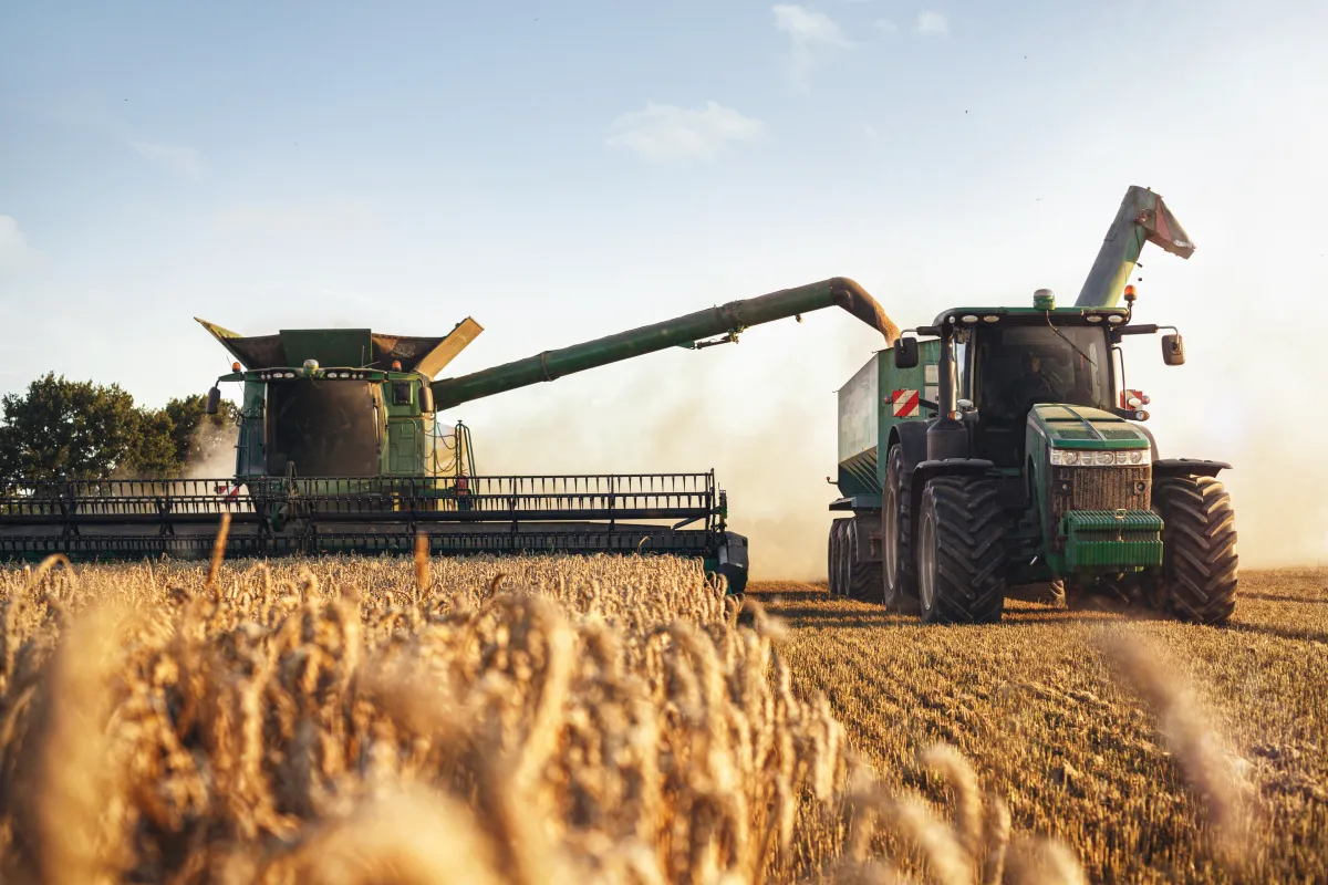 Landwirtschaft und Gentechnik